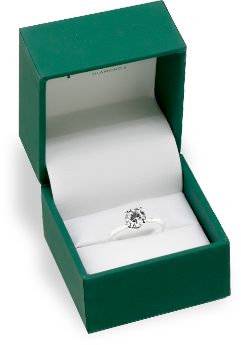 SPENCE Newbox Engagement